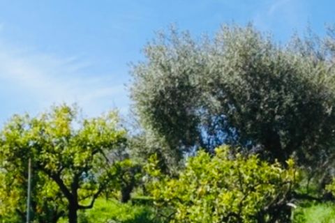 Finca i Coin, Malaga, Coin - € 160.000 | Ref: 7479 - foto 18