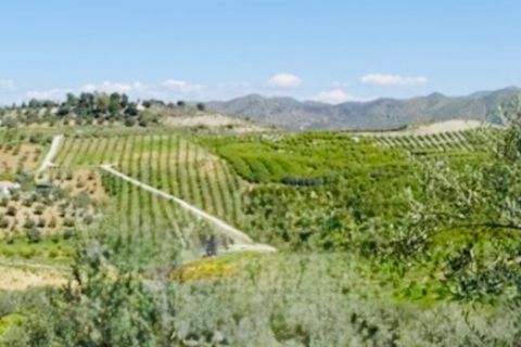 Finca i Coin, Malaga, Coin - € 160.000 | Ref: 7479 - foto 24