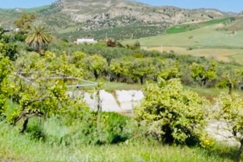 Finca i Coin, Malaga, Coin - € 160.000 | Ref: 7479 - foto 17
