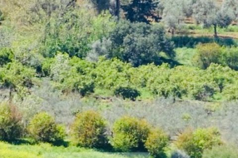 Finca i Coin, Malaga, Coin - € 160.000 | Ref: 7479 - foto 5