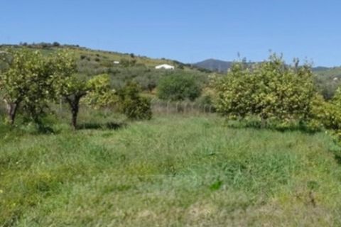 Finca i Coin, Malaga, Coin - € 160.000 | Ref: 7479 - foto 12