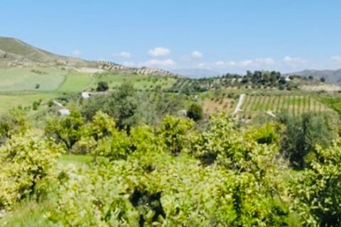 Finca i Coin, Malaga, Coin - € 160.000 | Ref: 7479 - foto 13