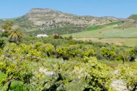 Finca i Coin, Malaga, Coin - € 160.000 | Ref: 7479 - foto 20