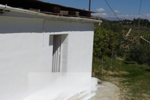 Finca i Coin, Malaga, Coin - € 160.000 | Ref: 7479 - foto 4