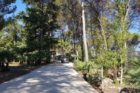 Villa a Valencia, Valencia, Valencia - € 8.000.000 | Ref: spky11266431 - foto 18
