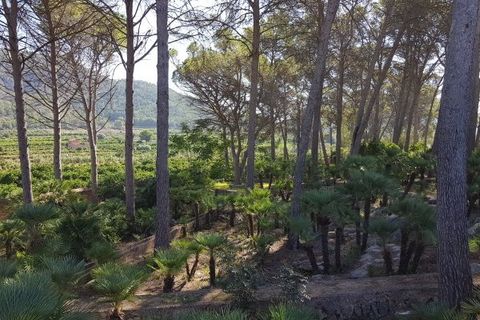 Villa a Valencia, Valencia, Valencia - € 8.000.000 | Ref: spky11266431 - foto 23