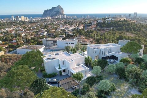 Villa a Alicante, Alicante, Alicante - € 1.795.000 | Ref: spky11134344 - foto 4
