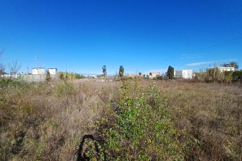 Terra a Valencia, Valencia, Valencia - € 90.000 | Ref: olvc11314876 - foto 5
