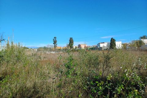 Terra a Valencia, Valencia, Valencia - € 90.000 | Ref: olvc11314876 - foto 6
