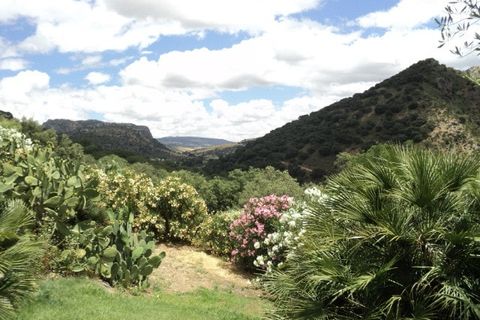 Villa a Malaga city, Malaga, Malaga city - € 3.500.000 | Ref: anch11325454 - foto 4