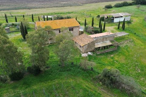 Farm hus i Grosseto, Grosseto, Grosseto - € 1.300.000 | Ref: a7631ta2496143a - foto 19