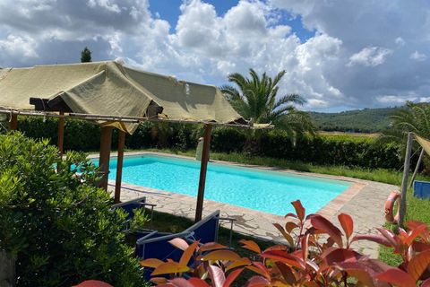 Farm hus i Grosseto, Grosseto, Grosseto - € 1.300.000 | Ref: a7631ta2496143a - foto 27