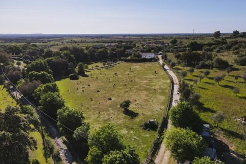 Farm hus i Estremoz, Evora, Estremoz - € 590.000 | Ref: AG061 - foto 31