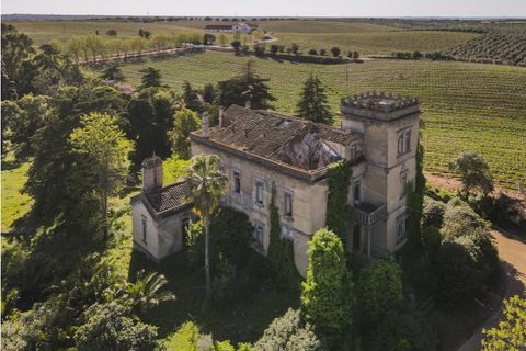 Farm i Sousel, Portalegre, Sousel - € 1.980.000 | Ref: CDB147 - foto 2