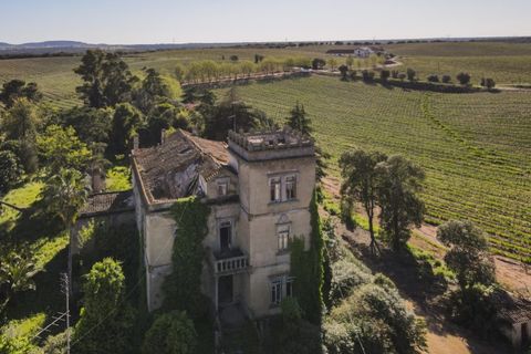 Farm i Sousel, Portalegre, Sousel - € 1.980.000 | Ref: CDB147 - foto 3