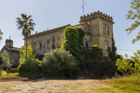 Farm i Sousel, Portalegre, Sousel - € 1.980.000 | Ref: CDB147 - foto 4