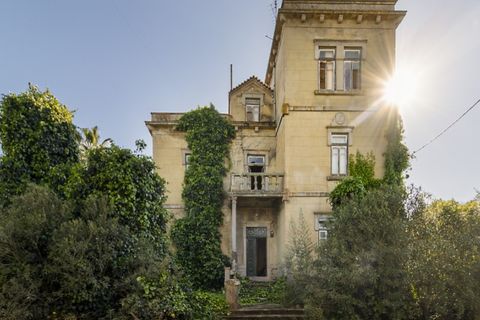 Farm i Sousel, Portalegre, Sousel - € 1.980.000 | Ref: CDB147 - foto 6