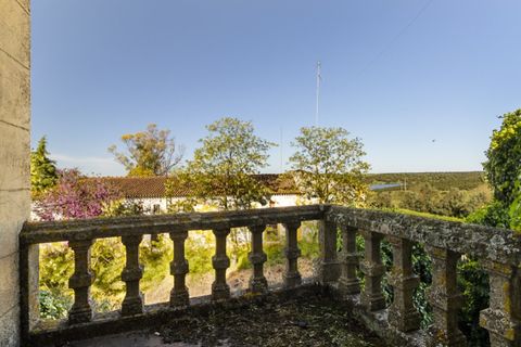Farm i Sousel, Portalegre, Sousel - € 1.980.000 | Ref: CDB147 - foto 18