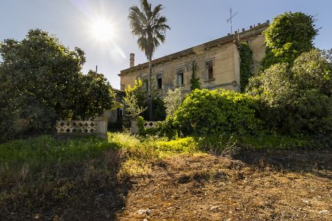 Farm i Sousel, Portalegre, Sousel - € 1.980.000 | Ref: CDB147 - foto 19