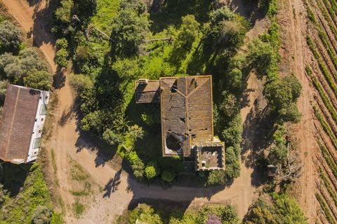 Farm i Sousel, Portalegre, Sousel - € 1.980.000 | Ref: CDB147 - foto 20