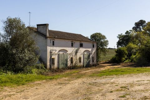 Farm i Sousel, Portalegre, Sousel - € 1.980.000 | Ref: CDB147 - foto 21