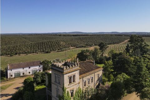Farm i Sousel, Portalegre, Sousel - € 1.980.000 | Ref: CDB147 - foto 22