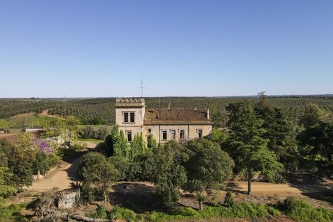 Farm i Sousel, Portalegre, Sousel - € 1.980.000 | Ref: CDB147 - foto 23