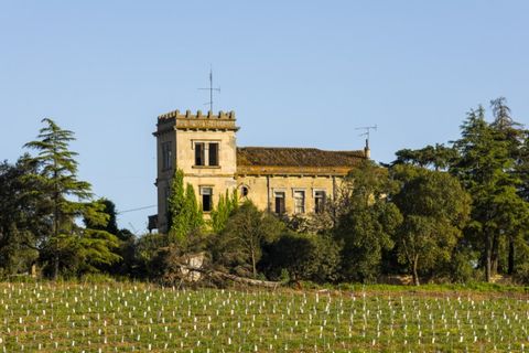 Farm i Sousel, Portalegre, Sousel - € 1.980.000 | Ref: CDB147 - foto 24