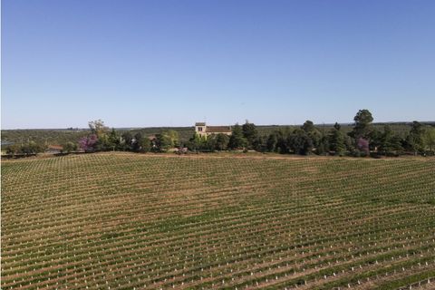 Farm i Sousel, Portalegre, Sousel - € 1.980.000 | Ref: CDB147 - foto 26