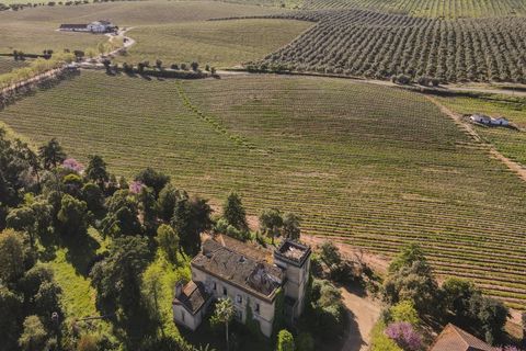 Farm i Sousel, Portalegre, Sousel - € 1.980.000 | Ref: CDB147 - foto 27