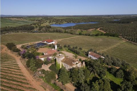 Farm i Sousel, Portalegre, Sousel - € 1.980.000 | Ref: CDB147 - foto 28