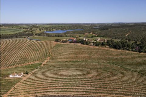 Farm i Sousel, Portalegre, Sousel - € 1.980.000 | Ref: CDB147 - foto 29