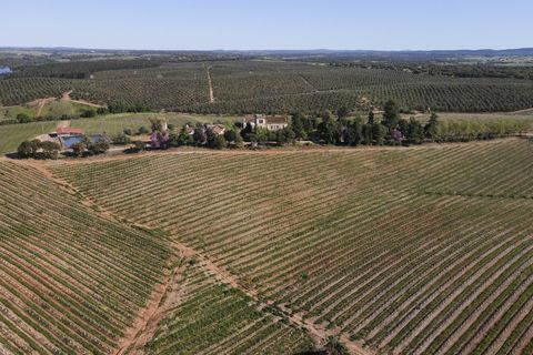 Farm i Sousel, Portalegre, Sousel - € 1.980.000 | Ref: CDB147 - foto 30
