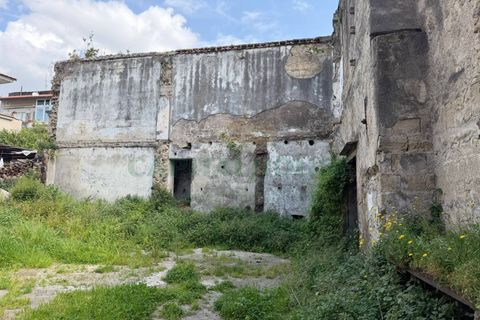 Terra a Avella, Avellino, Avella - € 40.000 | Ref: 459583 - foto 3