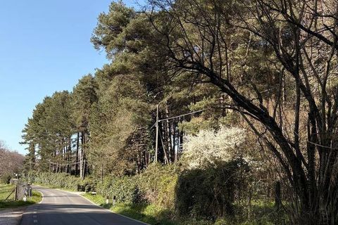 Lejlighed i Viterbo, Viterbo, Viterbo - € 26.000 | Ref: 2182 - foto 18