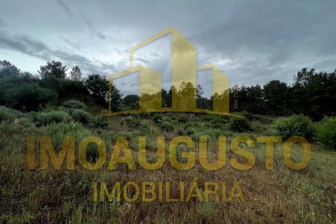 Helårsgrund i Guarda, Guarda, Guarda - € 15.000 | Ref: TER_1857 - foto 3