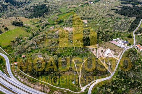 Helårsgrund i Guarda, Guarda, Guarda - € 49.900 | Ref: TER_1639 - foto 2