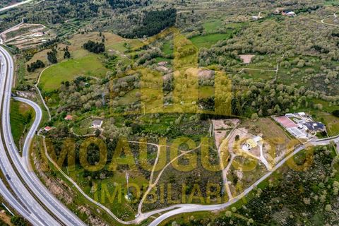 Helårsgrund i Guarda, Guarda, Guarda - € 49.900 | Ref: TER_1639 - foto 3