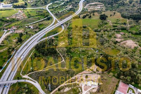 Helårsgrund i Guarda, Guarda, Guarda - € 49.900 | Ref: TER_1639 - foto 5