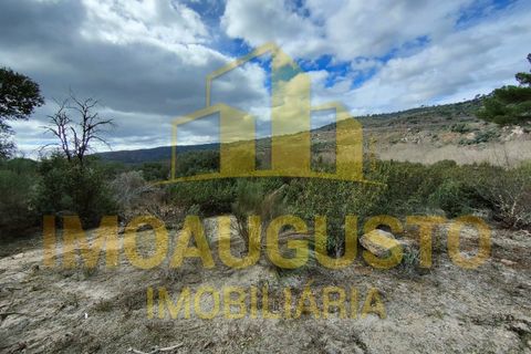Helårsgrund i Almeida, Guarda, Almeida - € 42.000 | Ref: TER_1572 - foto 4