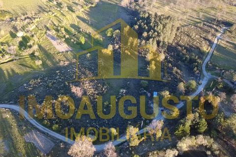 Helårsgrund i Guarda, Guarda, Guarda - € 15.000 | Ref: TER_1226 - foto 1