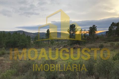 Helårsgrund i Guarda, Guarda, Guarda - € 15.000 | Ref: TER_1226 - foto 4