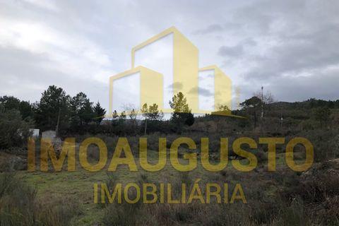 Helårsgrund i Guarda, Guarda, Guarda - € 15.000 | Ref: TER_1226 - foto 5