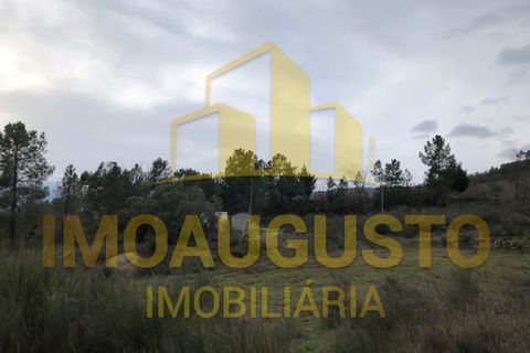 Helårsgrund i Guarda, Guarda, Guarda - € 15.000 | Ref: TER_1226 - foto 6