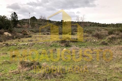Helårsgrund i Guarda, Guarda, Guarda - € 15.000 | Ref: TER_1226 - foto 7