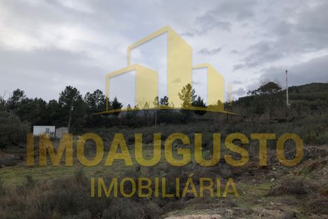 Helårsgrund i Guarda, Guarda, Guarda - € 15.000 | Ref: TER_1226 - foto 9
