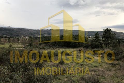 Helårsgrund i Guarda, Guarda, Guarda - € 15.000 | Ref: TER_1226 - foto 10