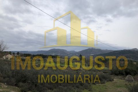 Helårsgrund i Guarda, Guarda, Guarda - € 15.000 | Ref: TER_1226 - foto 13