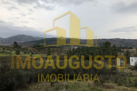 Helårsgrund i Guarda, Guarda, Guarda - € 15.000 | Ref: TER_1226 - foto 14