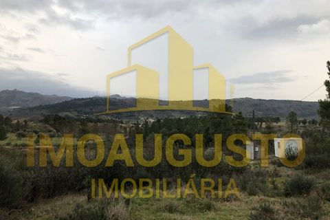 Helårsgrund i Guarda, Guarda, Guarda - € 15.000 | Ref: TER_1226 - foto 15